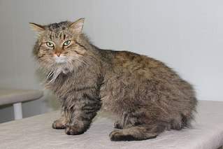 604 X 403  41.4 Kb 8    ...