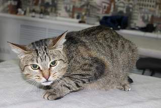 604 X 403  52.7 Kb 8    ...