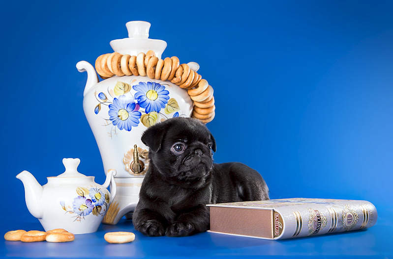 1920 X 1268 424.4 Kb  -  !