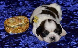 1920 X 1189 315.8 Kb 1920 X 1271 315.4 Kb 1920 X 1271 372.5 Kb  -