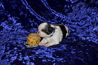 1920 X 1271 386.8 Kb 1920 X 1271 309.1 Kb  -