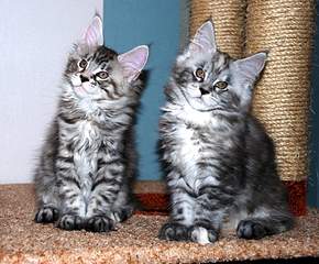 1920 X 1586 357.7 Kb   -  -