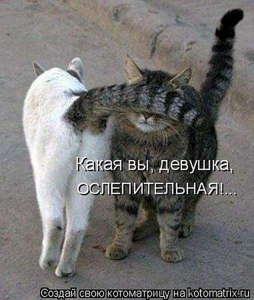 593 X 700  64.2 Kb Улыбнемся?