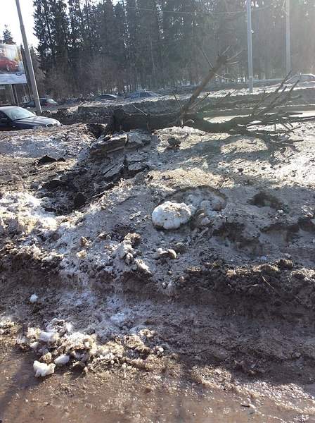 765 X 1024 266.1 Kb 765 X 1024 222.8 Kb 04.03.2015 ��� �� ��. 10 ��� �������, ����� �� �������, ������ � �����