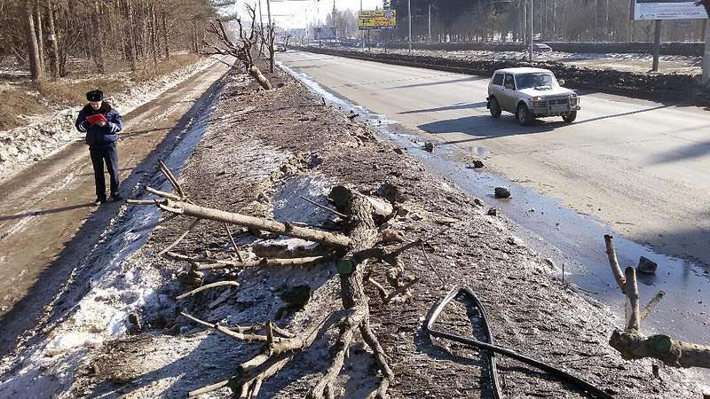 1088 X 612 305.0 Kb 765 X 1024 266.1 Kb 765 X 1024 222.8 Kb 04.03.2015 ��� �� ��. 10 ��� �������, ����� �� �������, ������ � �����