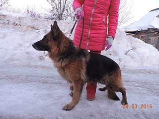 604 X 453  62.6 Kb 604 X 453  60.0 Kb  