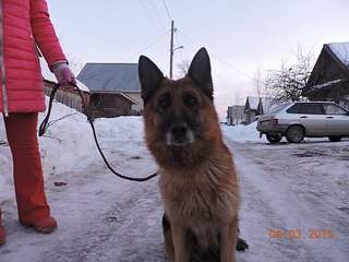 604 X 453  55.1 Kb 604 X 453  62.6 Kb 604 X 453  60.0 Kb  