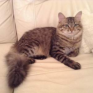 1920 X 1920 984.2 Kb  -    !