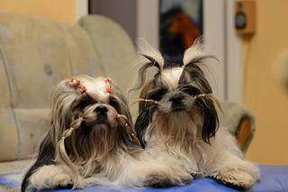 960 X 640  56.8 Kb  -