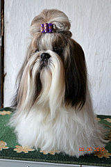 320 X 480  30.8 Kb  -