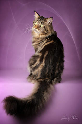 341 x 512 406 x 512  -   !