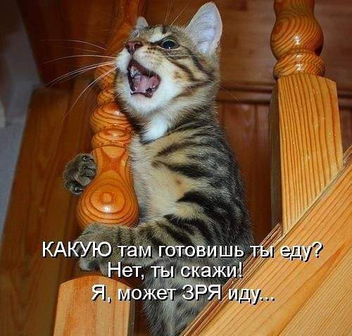 500 x 477 Улыбнемся?