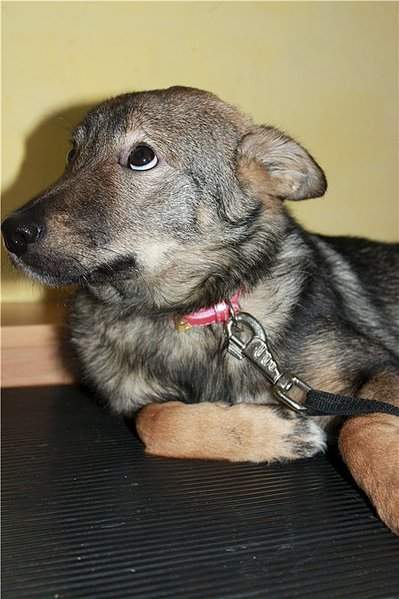 533 X 800  79.7 Kb ''   :  !