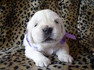 1359 X 1019 274.9 Kb 1920 X 1440 576.7 Kb   