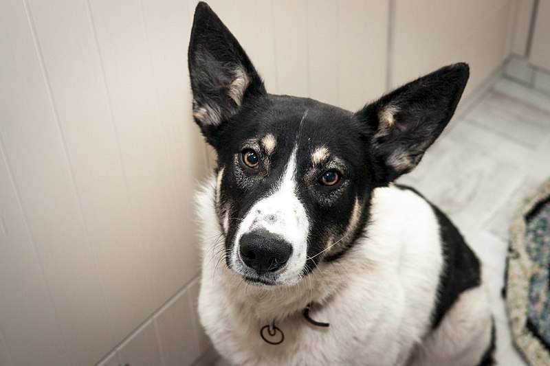 1920 X 1280 267.7 Kb 1920 X 1280 434.4 Kb 1920 X 1280 350.9 Kb     )