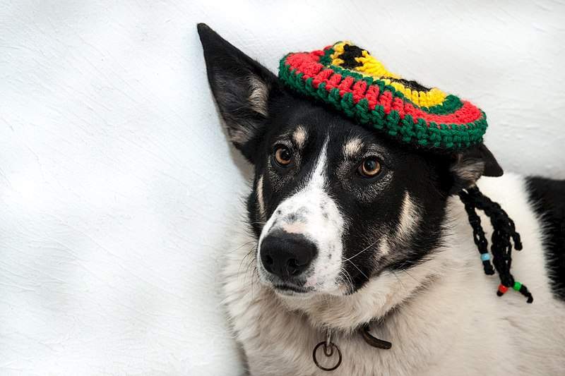 1920 X 1280 350.9 Kb     )  