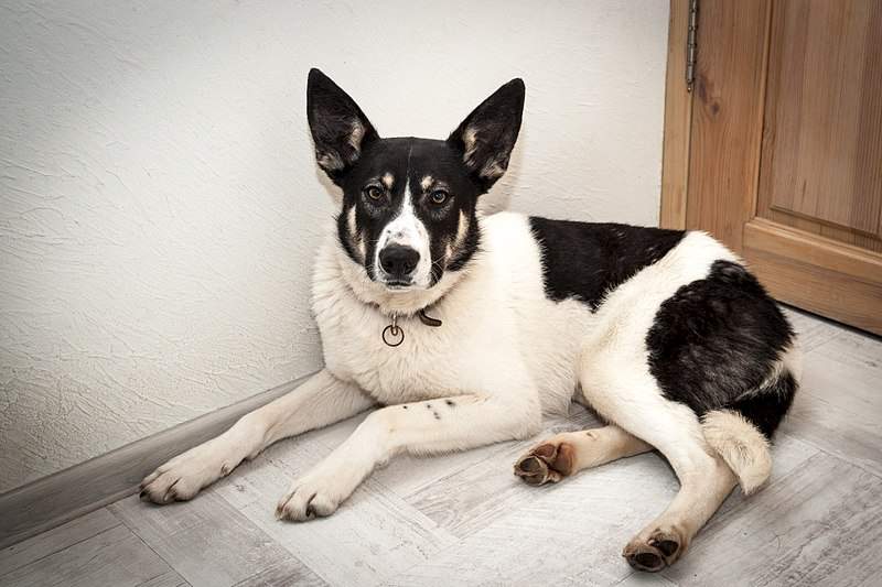 1920 X 1280 434.4 Kb 1920 X 1280 350.9 Kb     )  