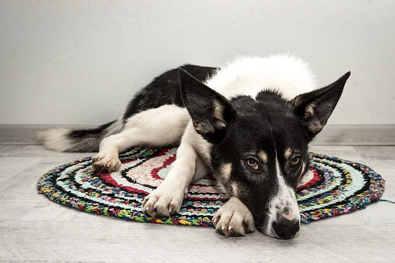 1920 X 1280 405.4 Kb 1920 X 1280 267.7 Kb 1920 X 1280 434.4 Kb 1920 X 1280 350.9 Kb     )  