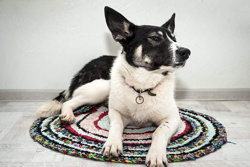 1920 X 1280 356.3 Kb 1920 X 1280 405.4 Kb 1920 X 1280 267.7 Kb 1920 X 1280 434.4 Kb 1920 X 1280 350.9 Kb     )  