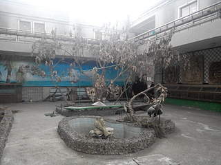 1600 X 1200 734.9 Kb 1200 X 1600 684.4 Kb 1600 X 1200 823.2 Kb   -  ...