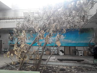 1600 X 1200 806.4 Kb 1600 X 1200 803.9 Kb   -  ...