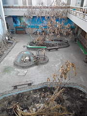1200 X 1600 984.9 Kb 1600 X 1200 631.3 Kb 1600 X 1200 737.7 Kb   -  ...