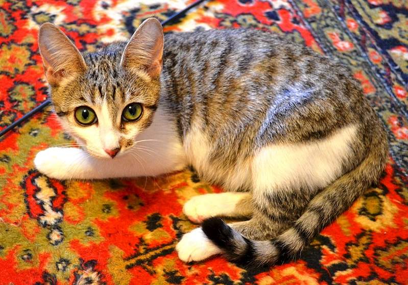 1920 X 1338 872.8 Kb       