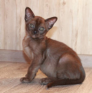 1920 X 1937 741.6 Kb   .