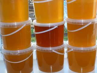 1136 X 852  56.4 Kb 1136 X 852 176.6 Kb ������� � ������ ��� 650 ���. 3 �.