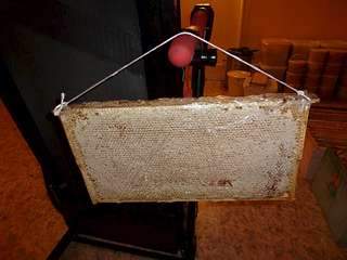 1136 X 852  86.7 Kb 1136 X 852  56.4 Kb 1136 X 852 176.6 Kb ������� � ������ ��� 650 ���. 3 �.