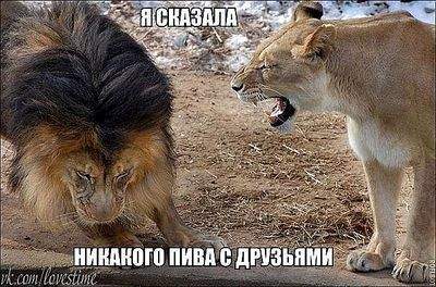 604 X 399 73.9 Kb Улыбнемся?