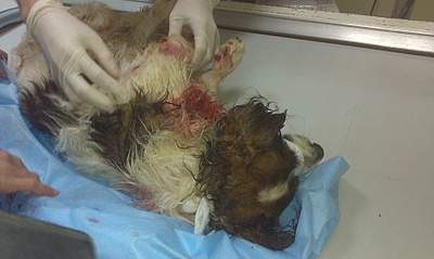 1920 X 1148 775.8 Kb 1920 X 1148 851.7 Kb   ,   .     .