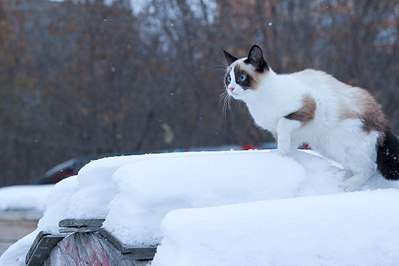 1280 X 853 108.1 Kb 1280 X 853 155.8 Kb     