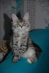 540 X 807 51.5 Kb   -  -