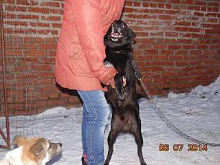 1280 X 960 243.8 Kb    - 