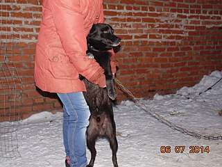 1280 X 960 218.1 Kb 1280 X 960 243.8 Kb    - 