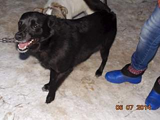 1280 X 960 143.9 Kb    - 