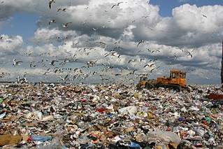 800 X 533 191.0 Kb 640 X 480 240.7 Kb       - !