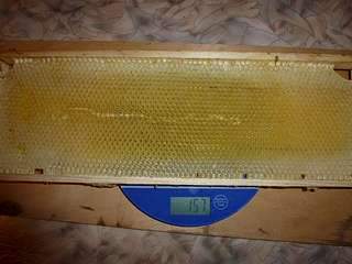 1136 X 852  83.4 Kb ������� � ������ ��� 650 ���. 3 �.