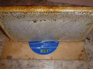 1136 X 852 108.6 Kb 1136 X 852 108.7 Kb ������� � ������ ��� 650 ���. 3 �.