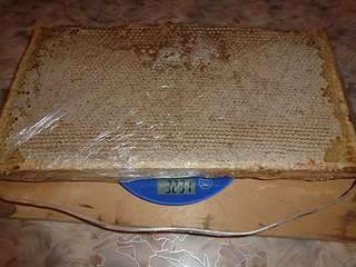 1136 X 852 106.6 Kb 1136 X 852 108.6 Kb 1136 X 852 108.7 Kb ������� � ������ ��� 650 ���. 3 �.