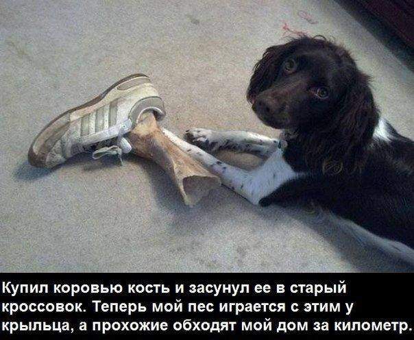 604 x 496 Улыбнемся?