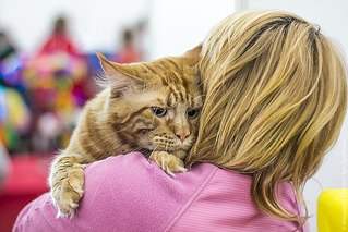 604 X 403 60.3 Kb  -   . .