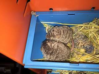 1920 X 1440 597.7 Kb   