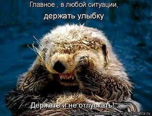 600 X 458  75.8 Kb 650 X 365  69.4 Kb Улыбнемся?