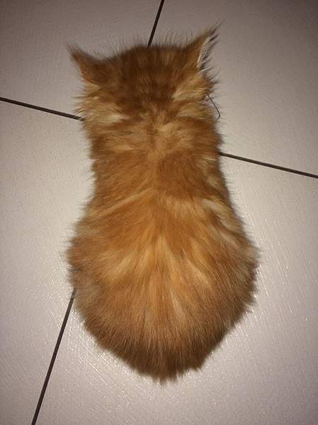 605 X 807 82.8 Kb 807 X 605 97.9 Kb 605 X 807 60.3 Kb  