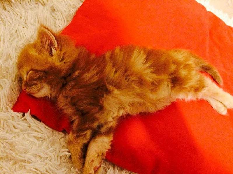 807 X 605 95.2 Kb 605 X 807 82.8 Kb 807 X 605 97.9 Kb 605 X 807 60.3 Kb  