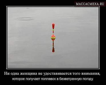 500 X 404 15.8 Kb Ford клуб