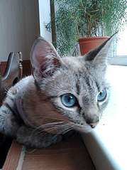 605 X 807 113.4 Kb 605 X 807  99.6 Kb      