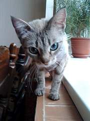 605 X 807  89.2 Kb 605 X 807  95.1 Kb 605 X 807 113.4 Kb 605 X 807  99.6 Kb      